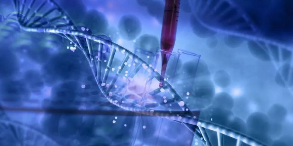 北京生物醫(yī)藥制品，單兵急救包,衛(wèi)生員急救行囊,軍醫(yī)背囊,家庭應(yīng)急物資儲(chǔ)備,人防應(yīng)急包等產(chǎn)品